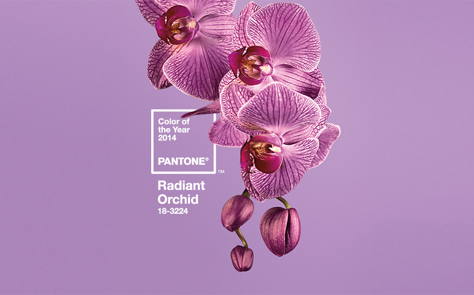 More information about "Color Inspiration: 2014 Pantone Color of the Year, "Radiant Orchid""