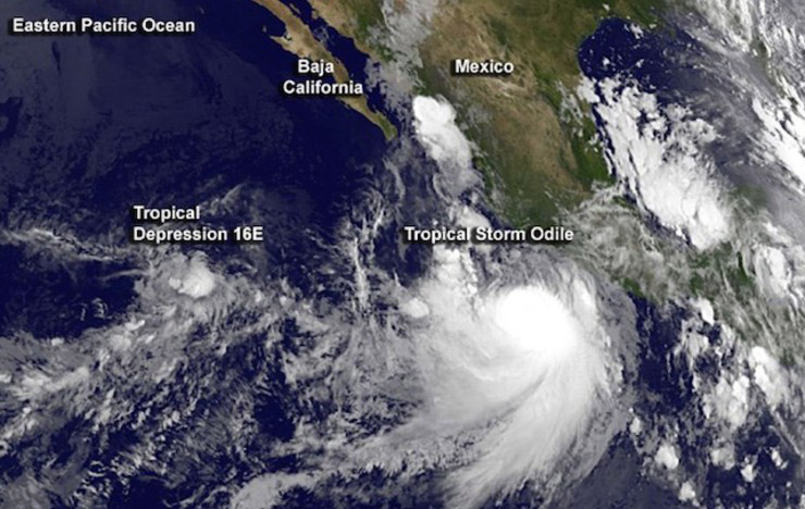 More information about "Cabo Resort Update List (Hurricane Odile)"