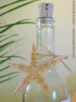 Our Message in a Bottle Invitations... with the starfish.
