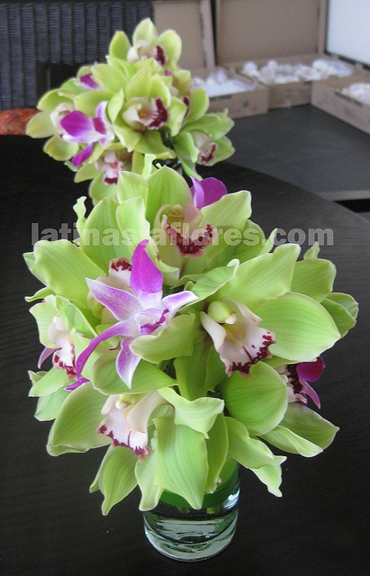 green cymbidium orchids with purple dendrobium orchid