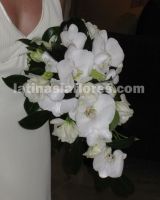 phaleanopsis and dendrobium orchid bouquet with white lisianthus
