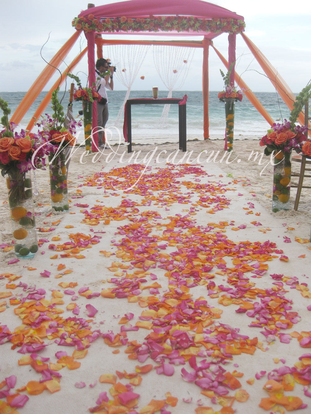 Dreams Cancun 2013 Brides 