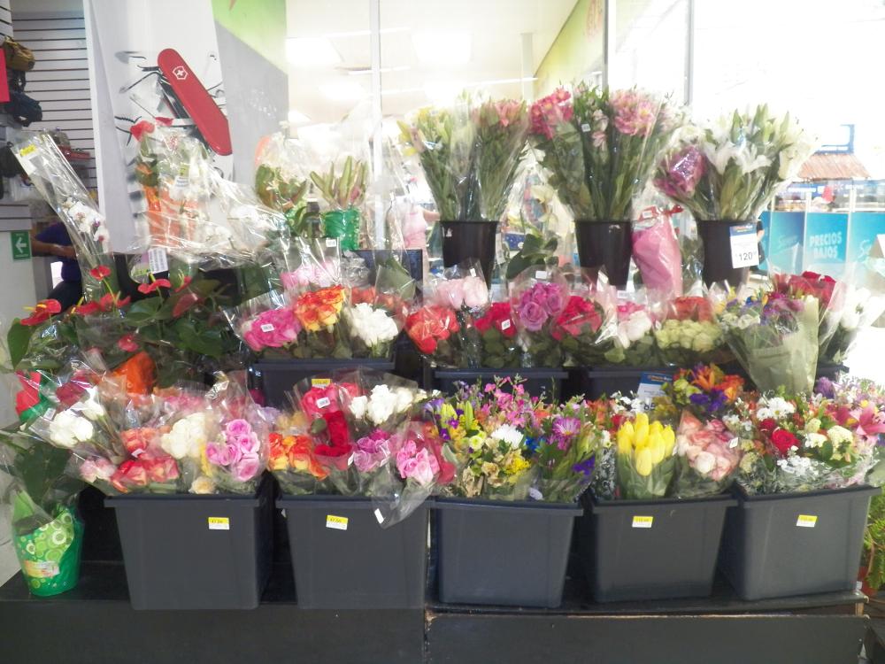 Wal-Mart Flowers in PDC