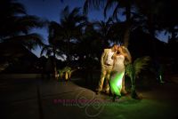 Mary & Will
Cancun destination weddings
Photography by Sarani