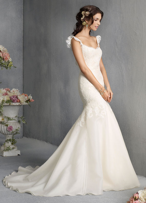 Post all "Knock Off Wedding Dress" questions/comments here
