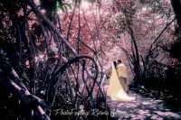 PhotoFeelings Trash the Dress