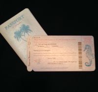 Our passport invites and boarding pass ticket RSVP cards