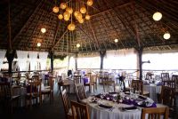 Beautiful Palapa