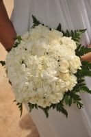 Precious Gem package-carnation bouquet