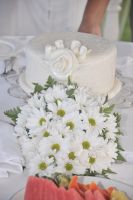 Precious Gem package cake for up to 6 people with free daisy bouquet (option between carnation & daisy)