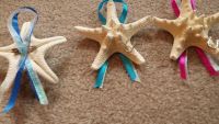Starfish Bouts - back/close up