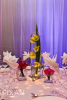 Ritz Carlton Wedding  venues and setups 132013