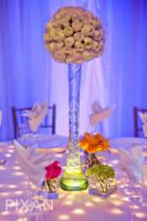 Ritz Carlton Wedding  venues and setups 172013