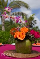 Dreams Tulum Wedding venues and setups  61