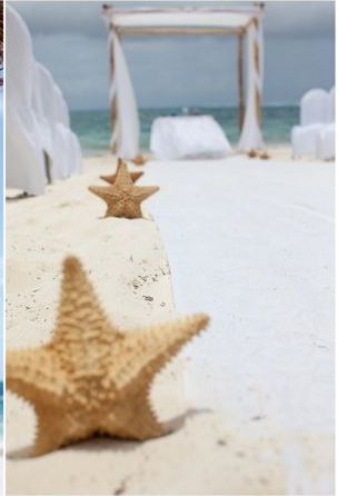 Star fish aisle markers