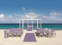 Purple Shimmer Ceremony Sm