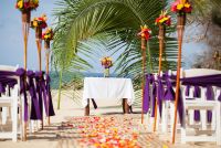 tropical ceremony with a palm arch