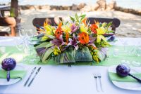 Tropical large centerpiece