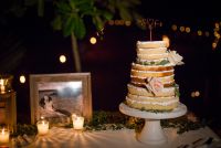 Naked wedding cake