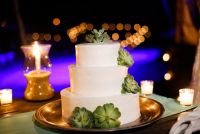 Wedding cake with succulents