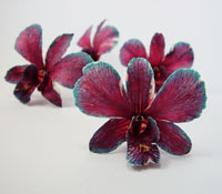 They are preserved dried orchid from fresh cut natural flower. They have longer storage life than fresh flower for years. You can keep your precious memorable moment for many years. www.prosco.co.th