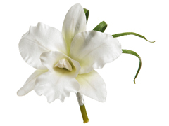 White Silk Orchid Boutonneires $1.99 each 