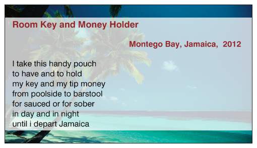 Extra Waterproof wallet Cards for  2012 Jamaica Weddings