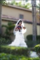 Contact me for a beautiful wedding in Los Cabos at caboimageswedding@gmail.com
http://caboimages.blogspot.com/
http://www.caboimagesweddings.com