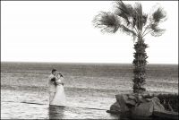 Contact me for a beautiful wedding in Los Cabos at caboimageswedding@gmail.com
http://caboimages.blogspot.com/
