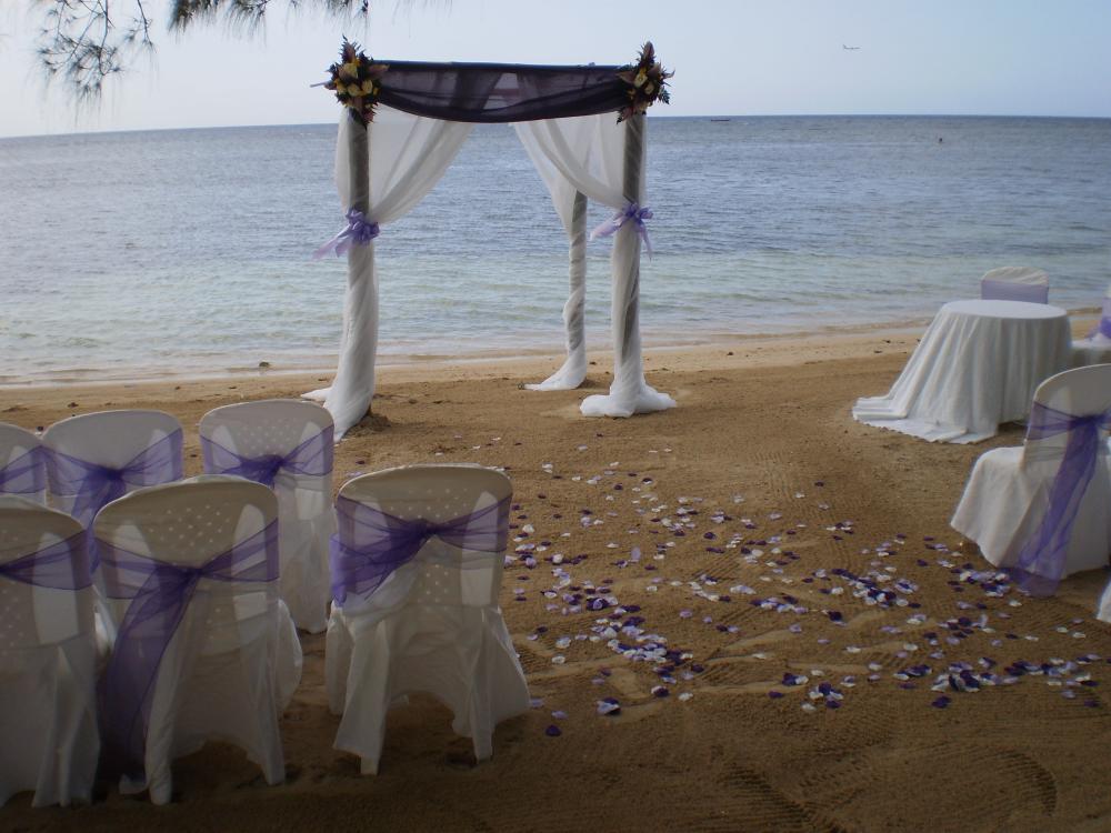 PURPLE SILK FLOWER PETALS!