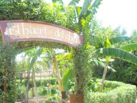 The Chef's garden, where the grow their own herbs and veggies.