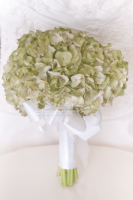 Green hydrangeas Bouquet