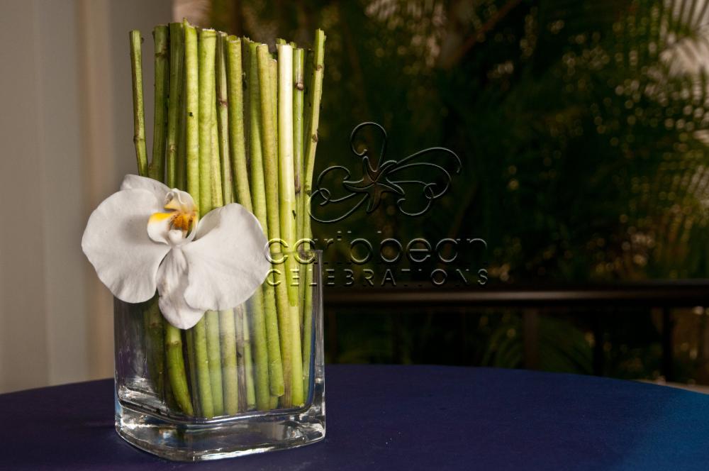 Rose sticks & phalaenopsis orchid
