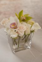 Cymbidium + Roses