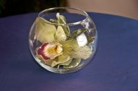Bowl & cymbidium orchid
