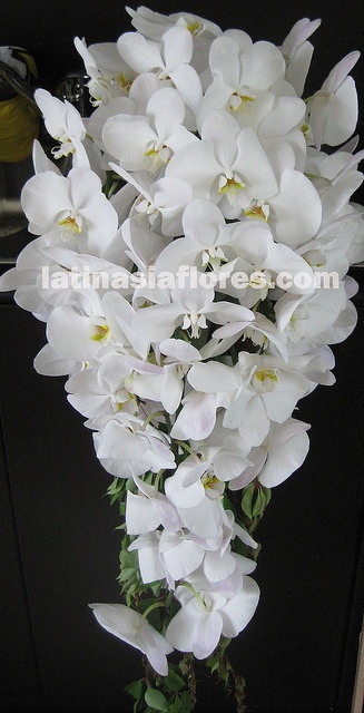 phaleanopsis orchid bouquet