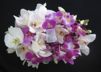 Fyusha and white bouquet. A combination of phaleanopsis orchids, dendrobium orchids and cymbidium orchids.
