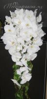 deluxe bridal bouquet. White phaleanopsis orchids 