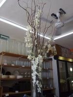white dendrobium orchids wedding centerpiece