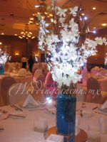 white dendrobium orchids   centerpiece