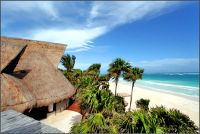 Amazing private villas for rent and where organize your wedding ( from 6 people villa to 30 people villa in the Riviera Maya !!ENJOY!!!!