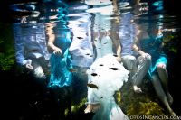 Trash The Dress - Underwater Photography Photos In Cancun 