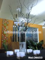 white phaleanopsis orchids wedding centerpiece
