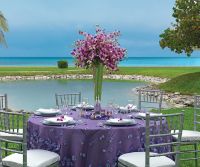 
www.crystalwaterweddings.com Experienced travel agents who strongly value providing first class service and have a deep passion for destination weddings.  Lavender Luxe.  Inspired by the soft and organic shapes found in nature, this collection features 