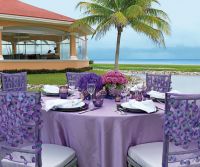 
www.crystalwaterweddings.com Experienced travel agents who strongly value providing first class service and have a deep passion for destination weddings.  Lavender Luxe.  Inspired by the soft and organic shapes found in nature, this collection features 