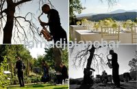 Jazz swing band for your dream wedding in all Italy!
http://www.weddingdj.it
info@romadjpianobar.com