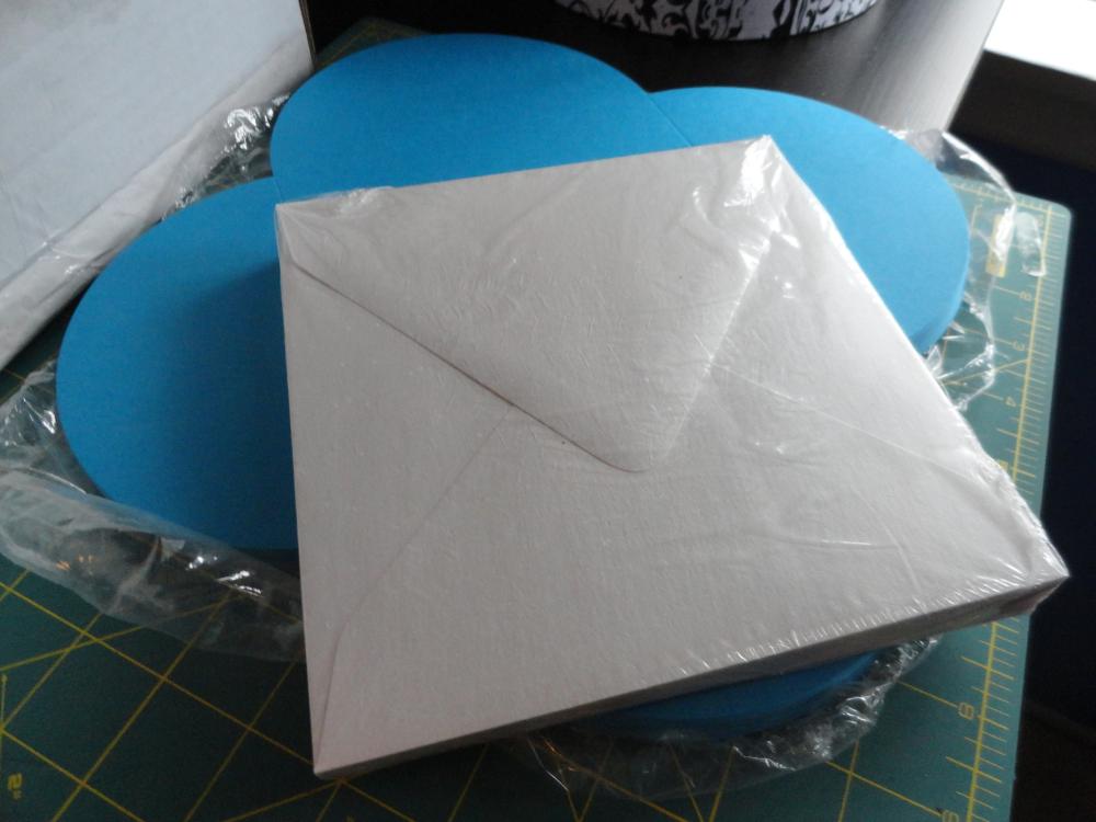 For Sale: Paper Products (Cardstock, Petal folds, envelopes, folders)