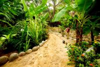 Beautiful tropical plants cover the grounds between villas