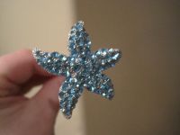 starfish.JPG