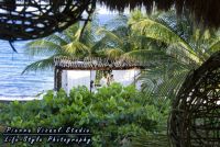 Wedding at Le Reve, Playa del Carmen, Mexico.